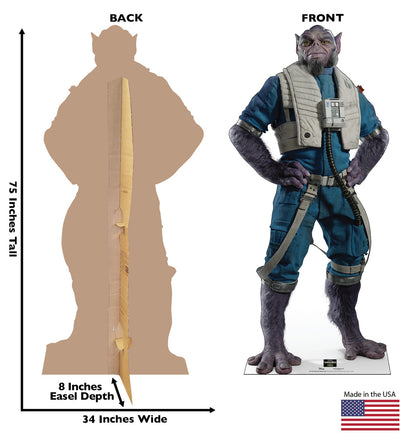 Life-Size Zeb Orrelios (New Republic Pilot)™ (Mandalorian & Grogu Movie) Cardboard Cutout - All Cutouts