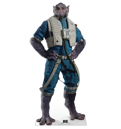 Life-Size Zeb Orrelios (New Republic Pilot)™ (Mandalorian & Grogu Movie) Cardboard Cutout - All Cutouts