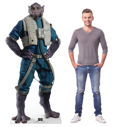 Life-Size Zeb Orrelios (New Republic Pilot)™ (Mandalorian & Grogu Movie) Cardboard Cutout - All Cutouts