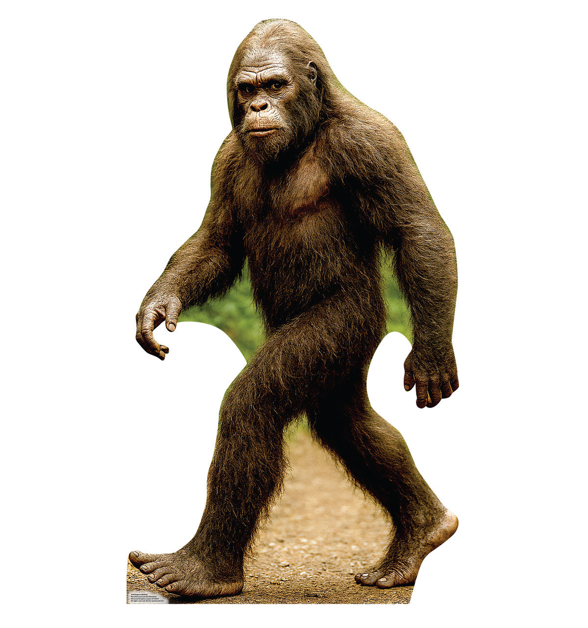 Life-Size Bigfoot Walking Cardboard Cutout - All Cutouts