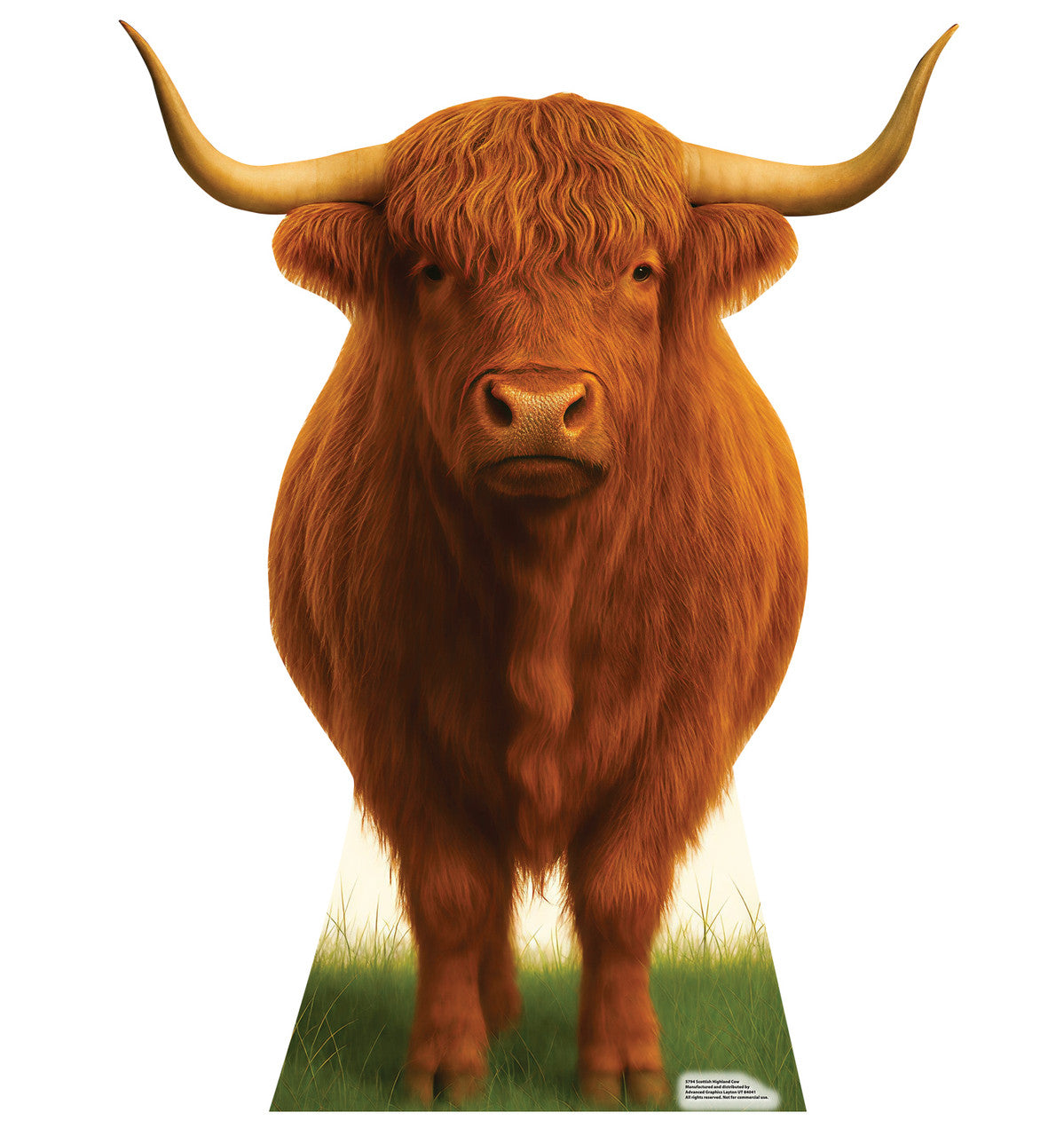Life-Size Scottish Highland Cow Cardboard Cutout - All Cutouts