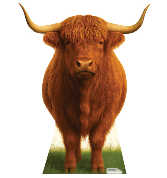 Life-Size Scottish Highland Cow Cardboard Cutout - All Cutouts