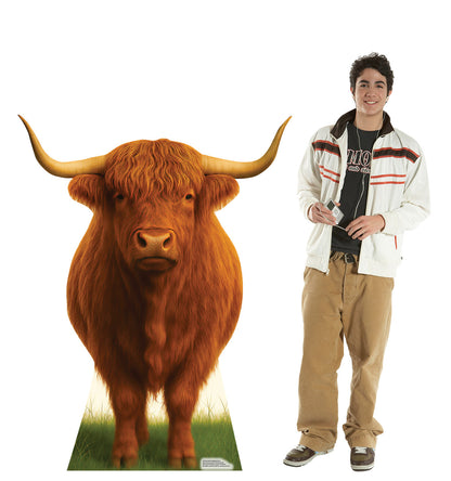 Life-Size Scottish Highland Cow Cardboard Cutout - All Cutouts