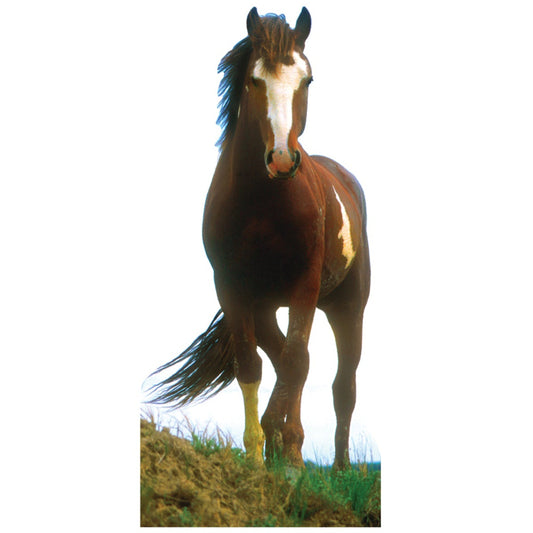 Life-size Mustang Horse Cardboard Cutout - All Cutouts