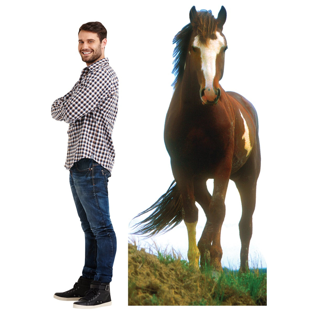 Life-size Mustang Horse Cardboard Cutout - All Cutouts
