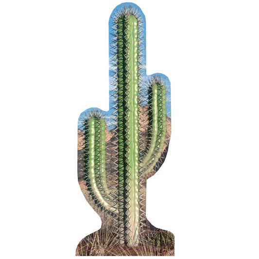 Life-size Cactus Cardboard Standup | Cardboard Cutout - All Cutouts