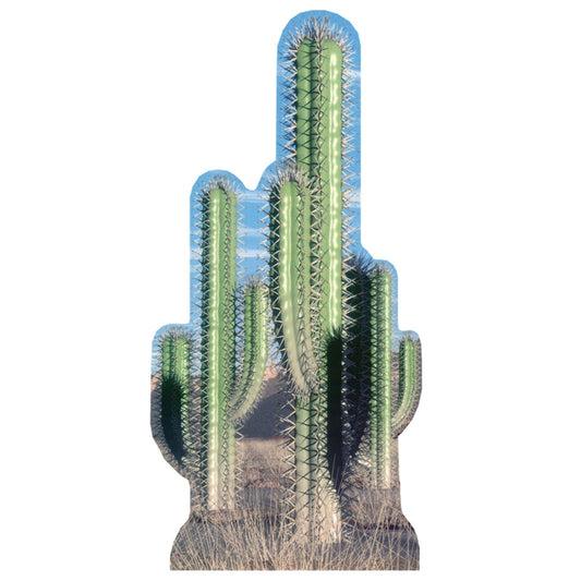 Life-size Cactus Group Cardboard Standup | Cardboard Cutout - All Cutouts
