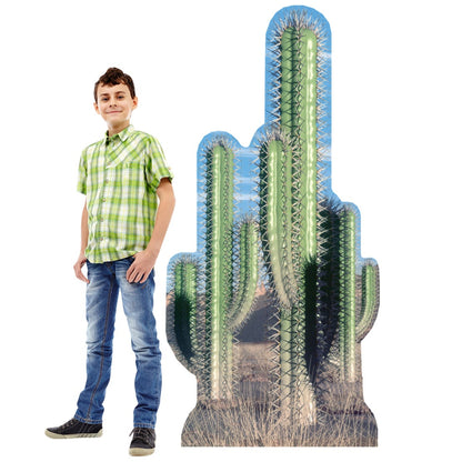 Life-size Cactus Group Cardboard Standup | Cardboard Cutout - All Cutouts
