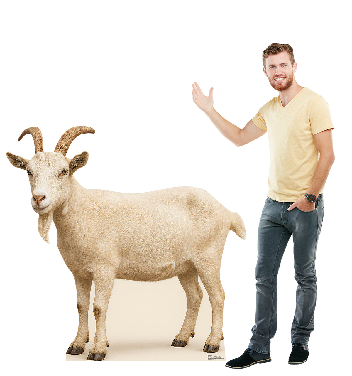 Life-Size Goat Cardboard Cutout - All Cutouts