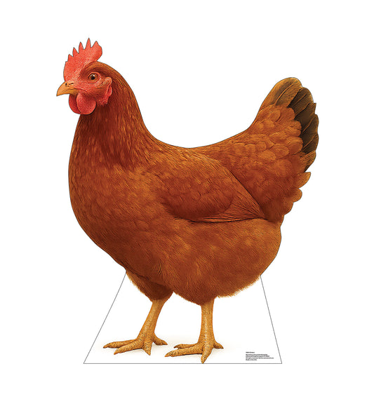 Life-Size Chicken Cardboard Cutout - All Cutouts