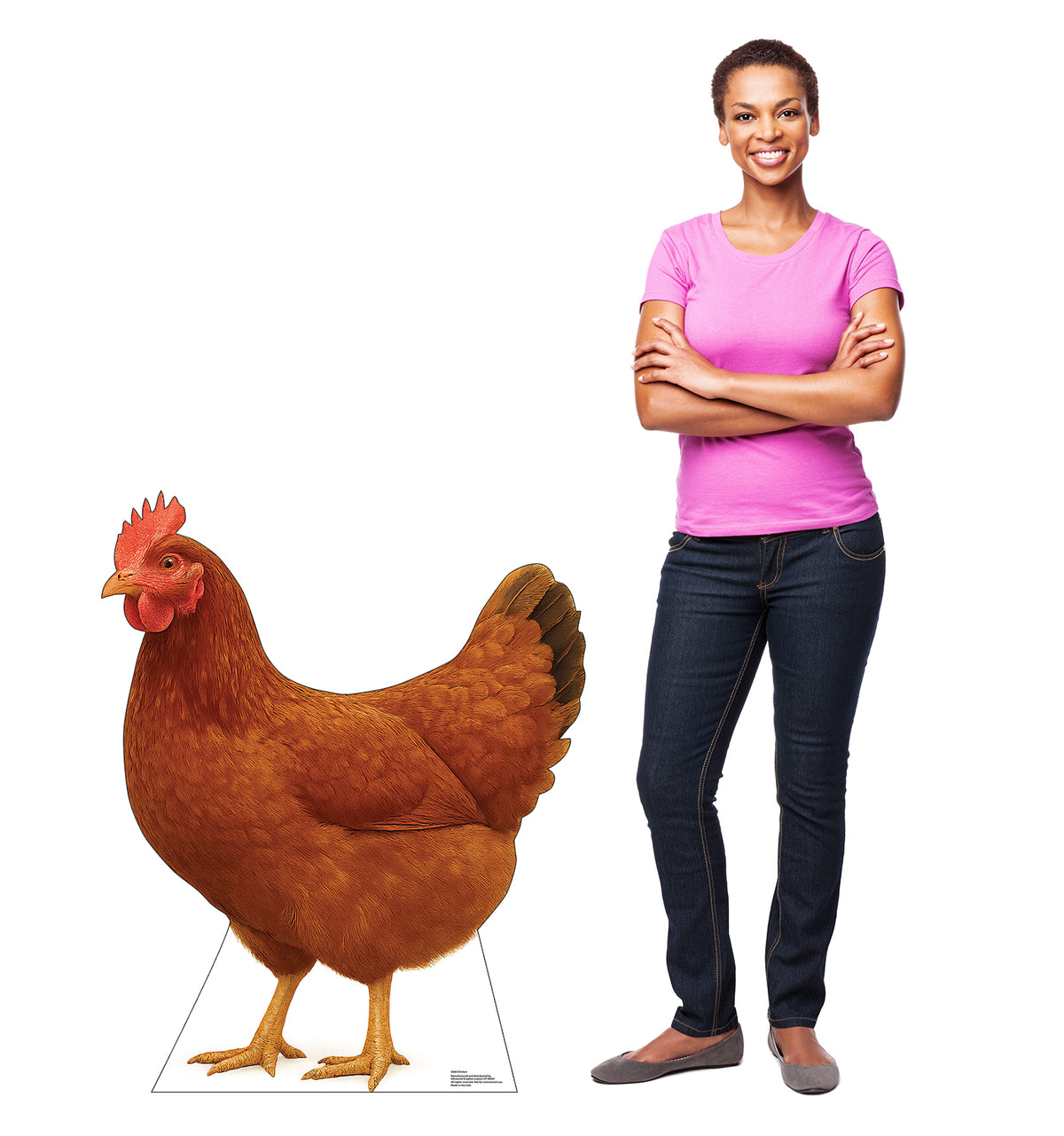 Life-Size Chicken Cardboard Cutout - All Cutouts