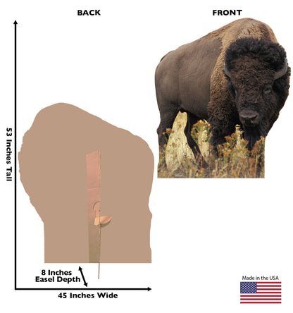 Life-size Bison Cardboard Cutout Standee - All Cutouts