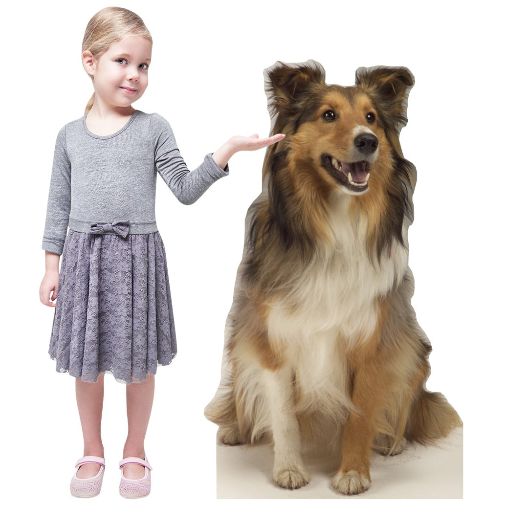 Life-size Collie Dog Cardboard Standup | Cardboard Cutout - All Cutouts