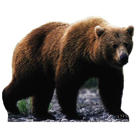 Life-size Grizzly Bear Cardboard Standup - All Cutouts