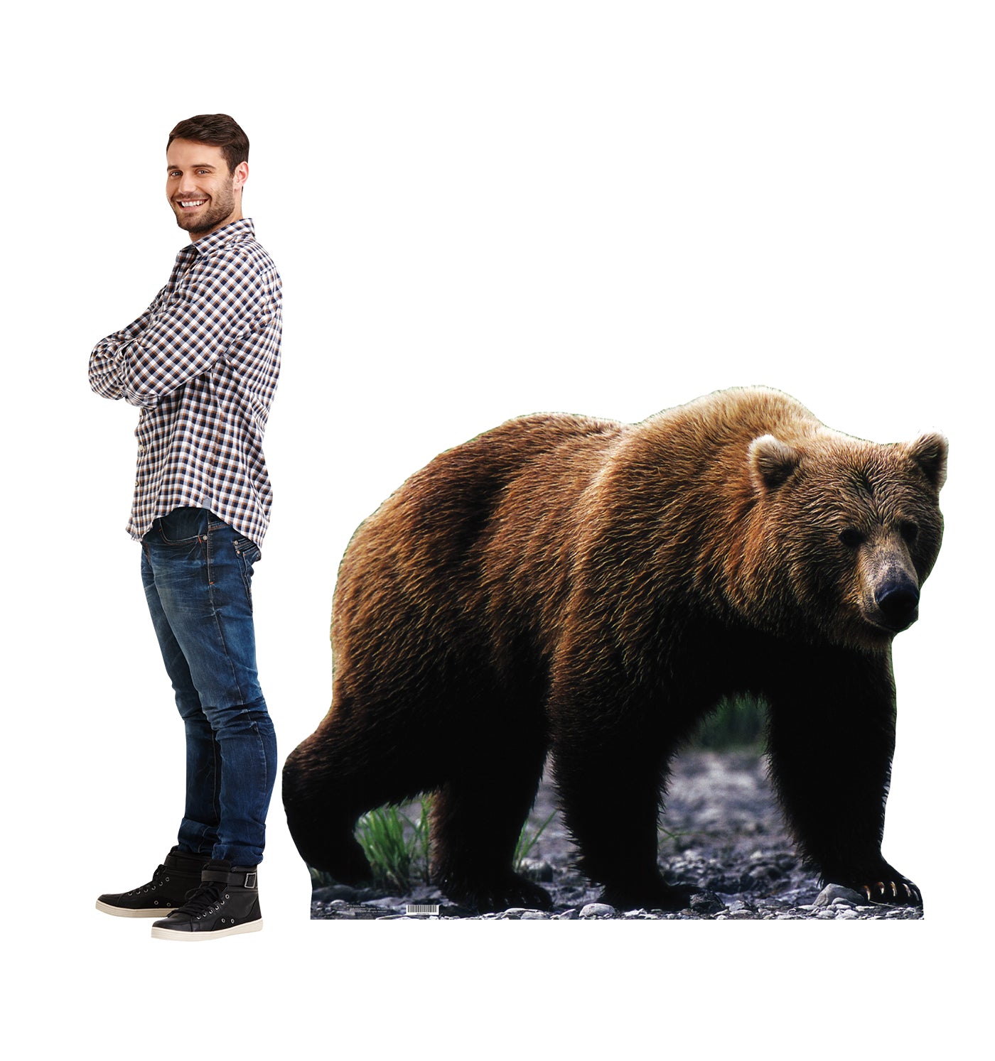 Life-size Grizzly Bear Cardboard Standup - All Cutouts