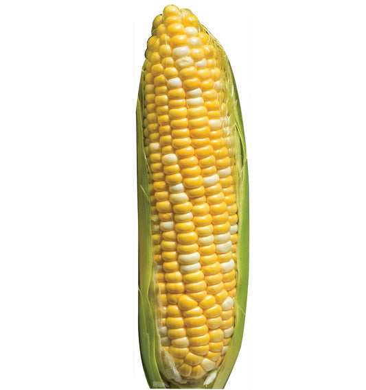 Corn of Cob Cardboard Standee - All Cutouts