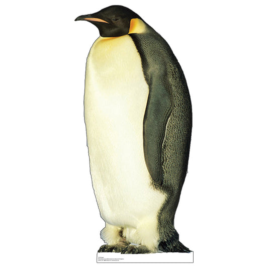 Life-size King Penguin Cardboard Cutout Standup - All Cutouts