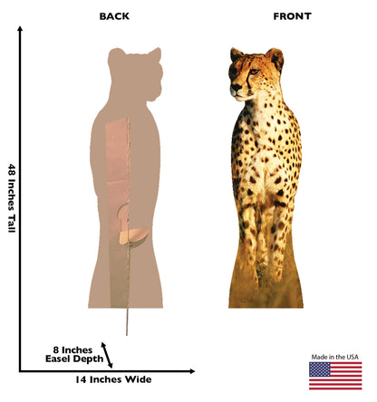 Life-size Cheetah Cardboard Standup | Cardboard Cutout - All Cutouts