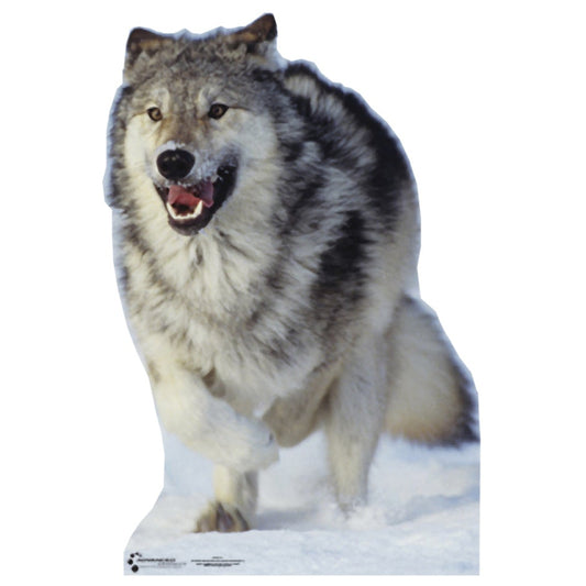 Life-size Wolf Cardboard Cutout Standee - All Cutouts