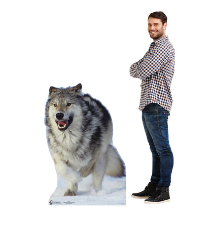 Life-size Wolf Cardboard Cutout Standee - All Cutouts