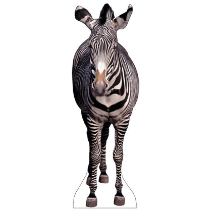 Life-size Zebra Cardboard Standup - All Cutouts