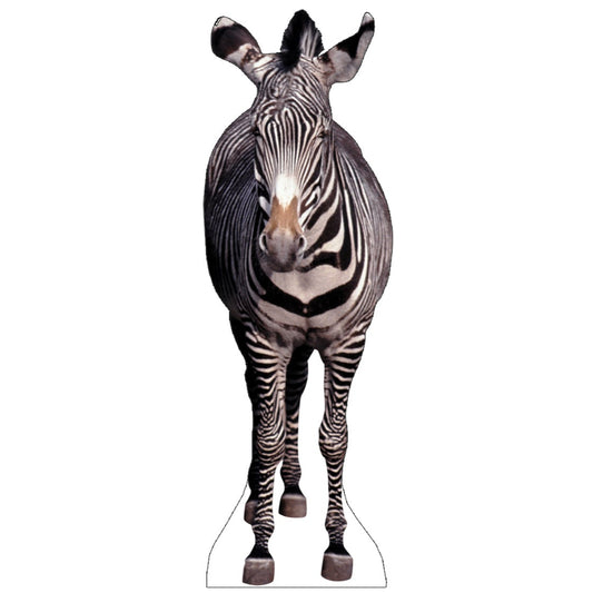 Life-size Zebra Cardboard Standup - All Cutouts