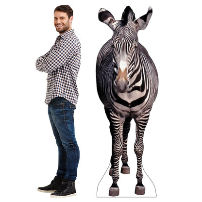 Life-size Zebra Cardboard Standup - All Cutouts