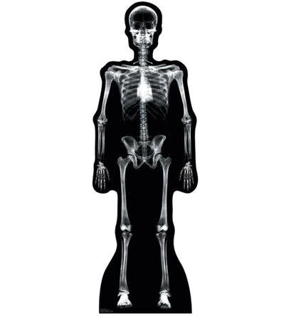 Life-size X-Ray Skeleton Cardboard Standup - All Cutouts