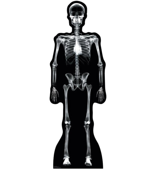 Life-size X-Ray Skeleton Cardboard Standup - All Cutouts