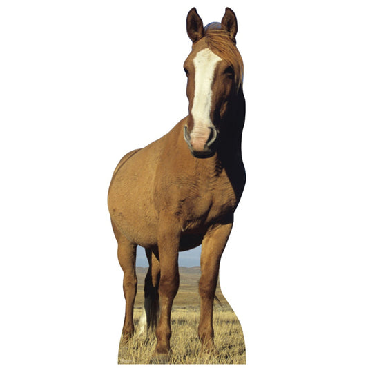 Life-size Horse Cardboard Standup - All Cutouts